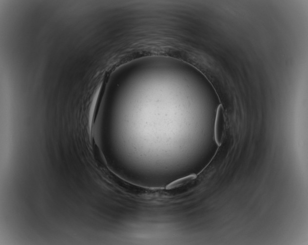 X0000087000752200704161523