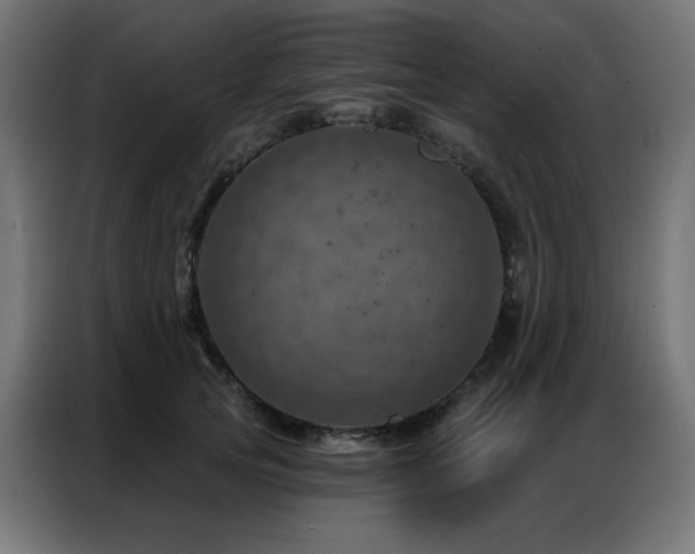 X0000087000753200704161523