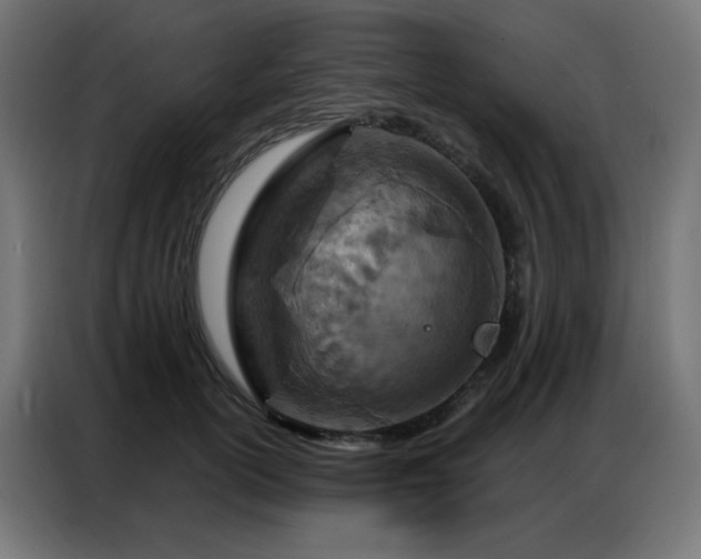 X0000087000754200704161523