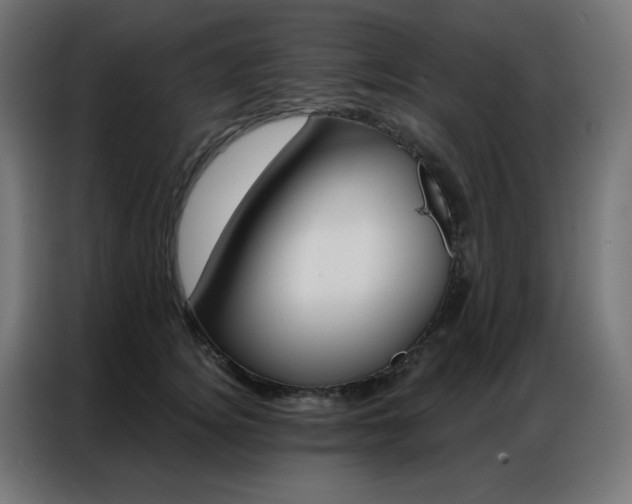 X0000087000756200704161523