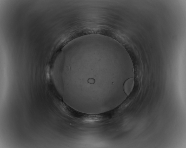 X0000087000758200704161523