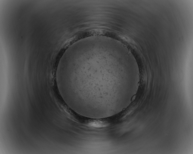 X0000087000759200704161523