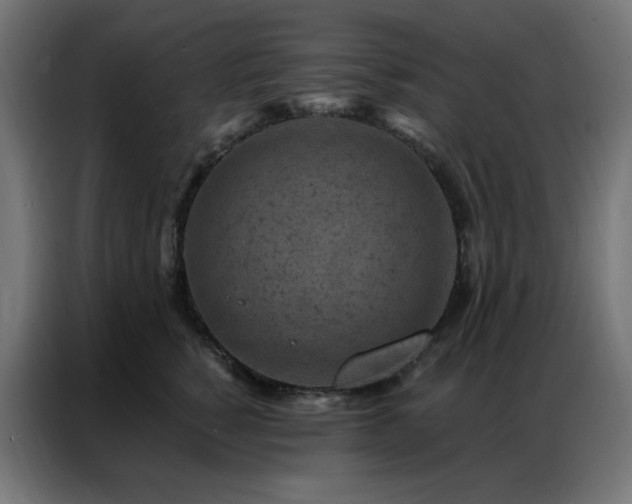 X0000087000760200704161523