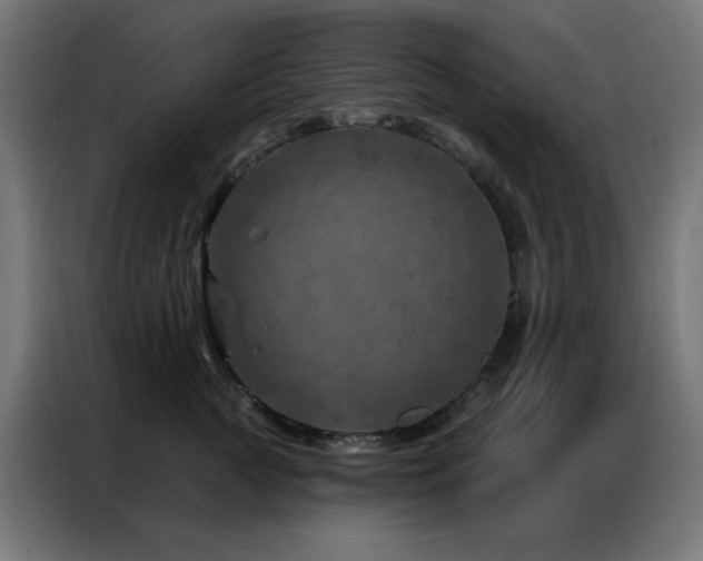 X0000087000761200704161523