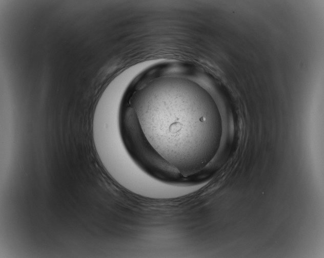 X0000087000762200704161523