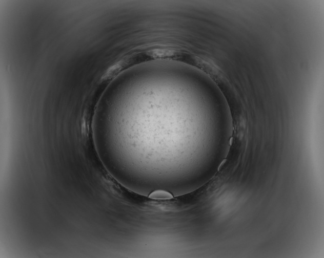 X0000087000763200704161523