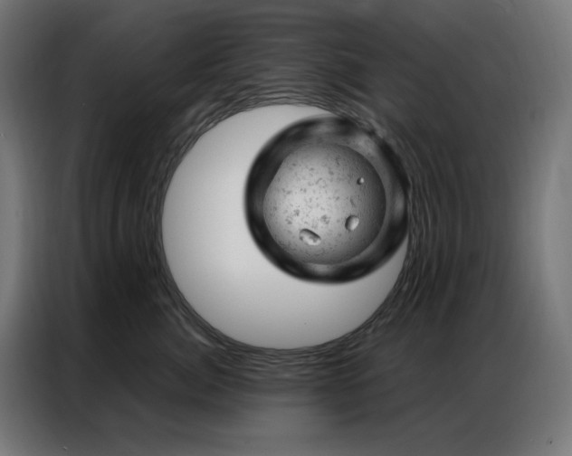 X0000087000764200704161523