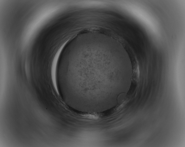 X0000087000765200704161524