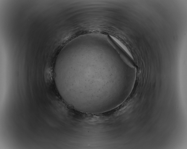 X0000087000772200704161523