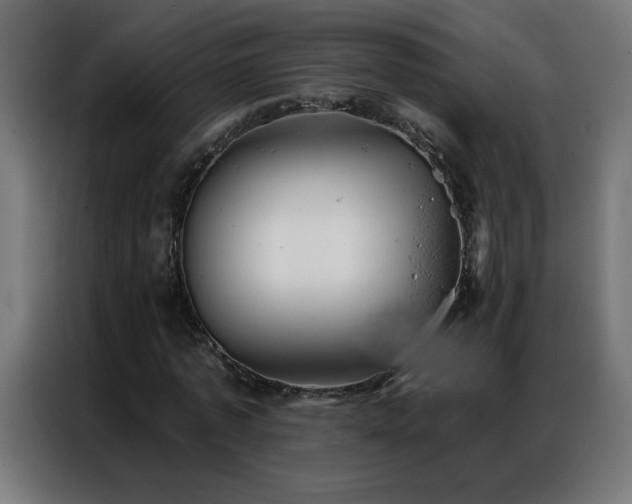 X0000087000773200704161523