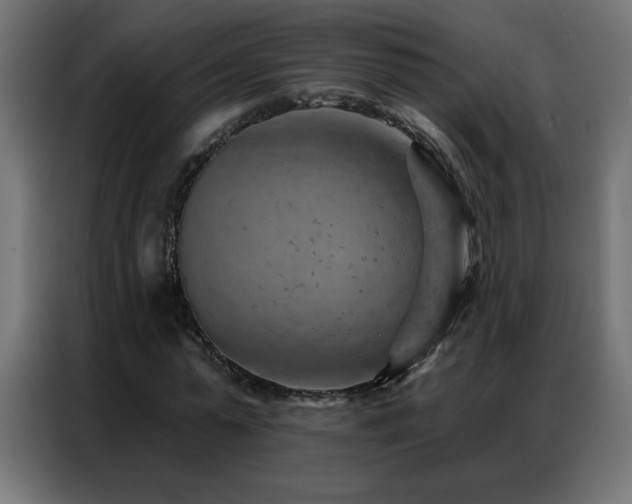 X0000087000775200704161523