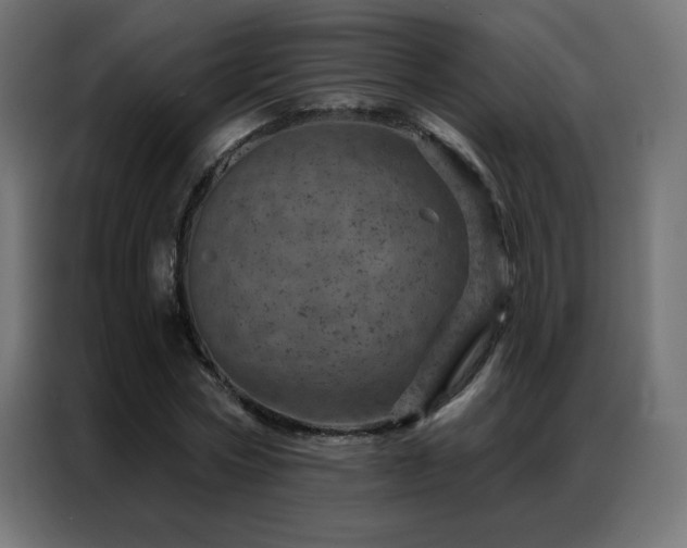 X0000087000778200704161523