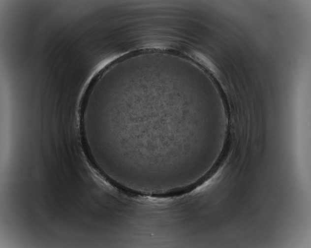 X0000087000779200704161523