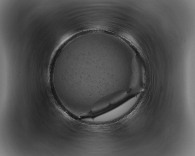 X0000087000780200704161523