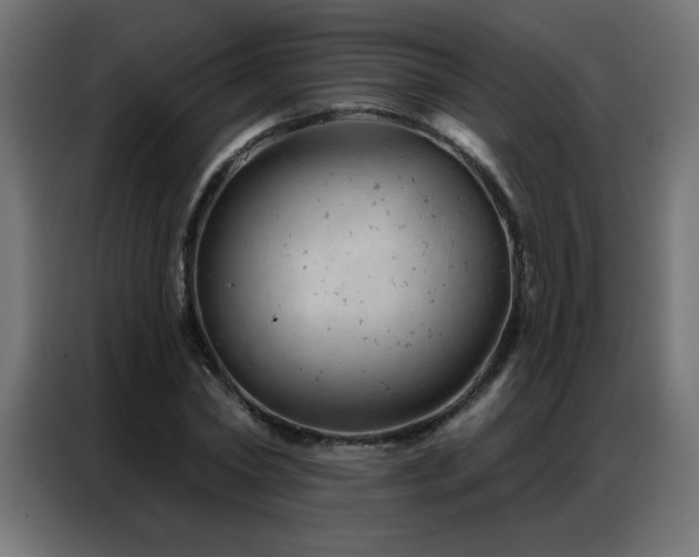 X0000087000782200704161523