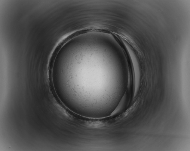 X0000087000784200704161523