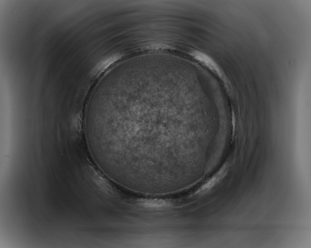 X0000087000785200704161523