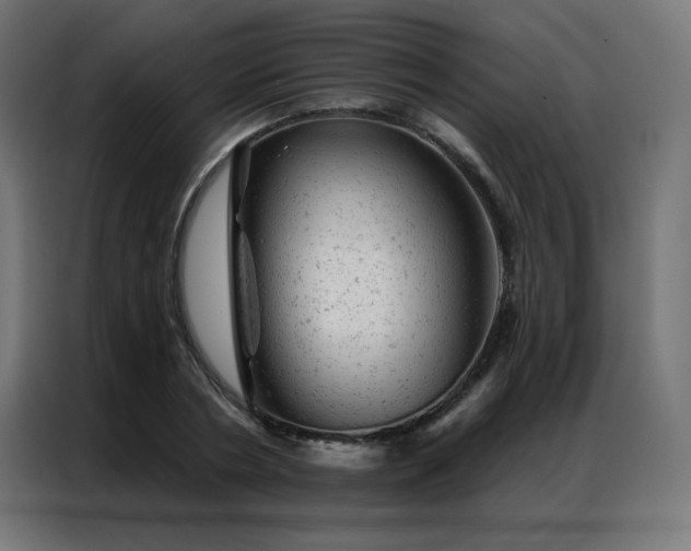 X0000087000786200704161523