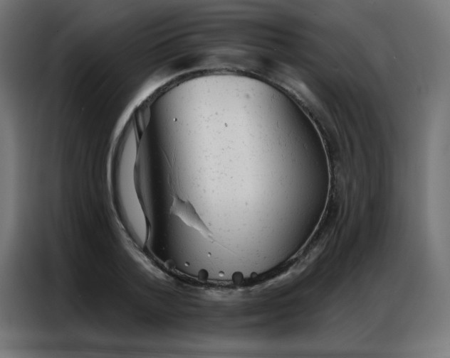 X0000087000788200704161523