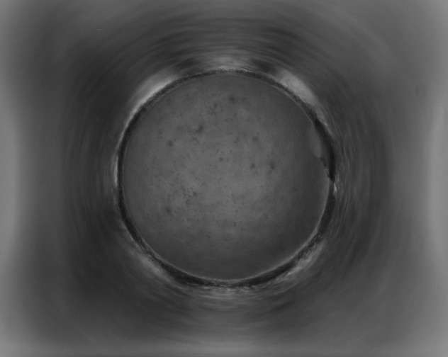 X0000087000790200704161523