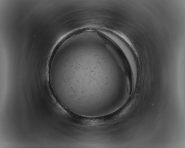 X0000087000791200704161523