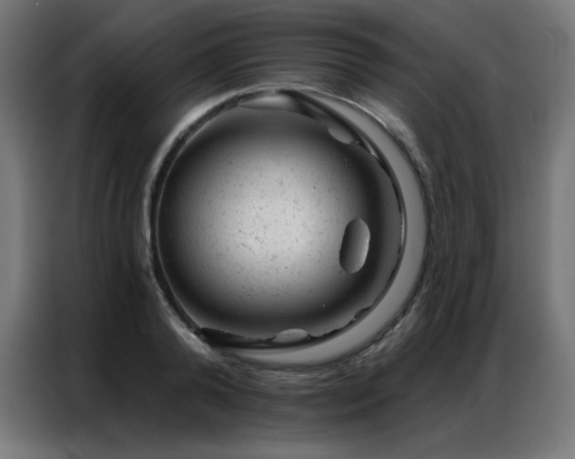 X0000087000792200704161523