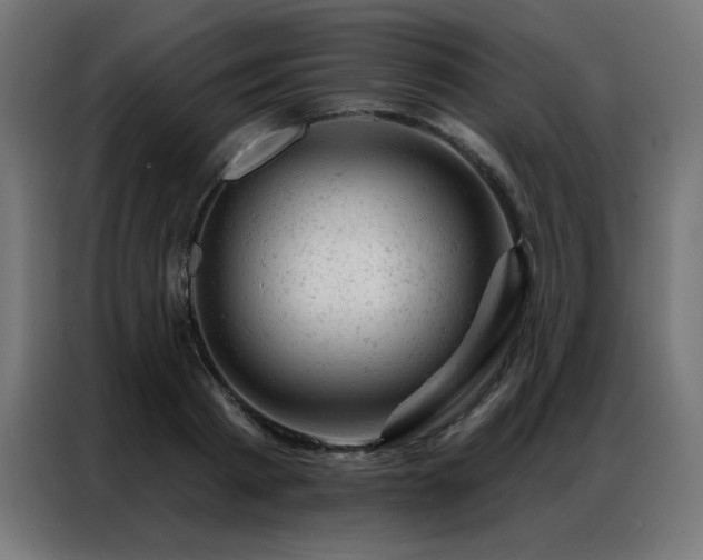 X0000087000793200704161523