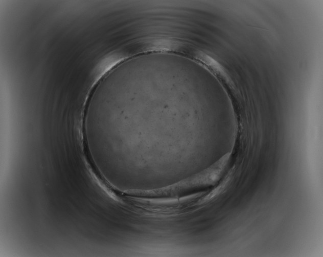 X0000087000794200704161523