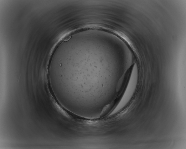 X0000087000799200704161523