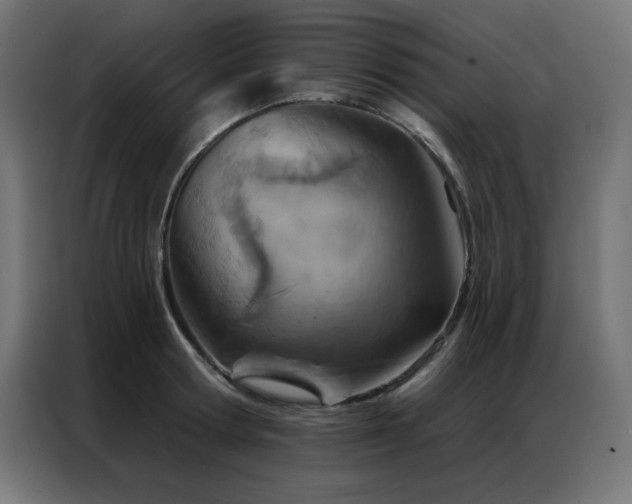 X0000087000802200704161523