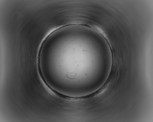 X0000087000803200704161523