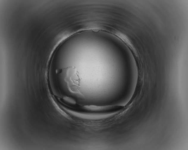 X0000087000805200704161523
