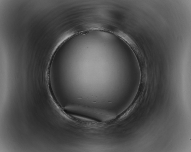 X0000087000806200704161523
