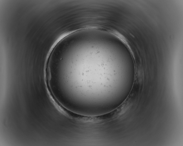 X0000087000811200704161523