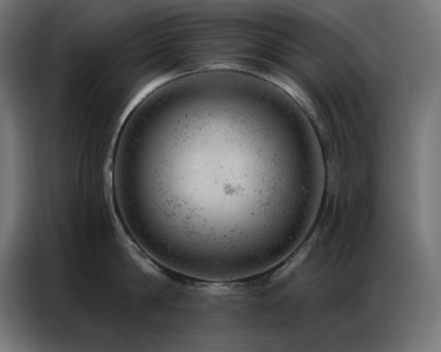X0000087000814200704161522