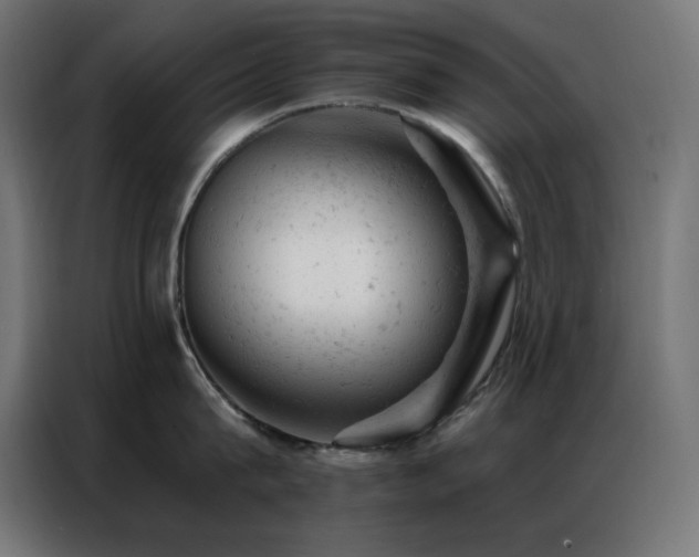 X0000087000815200704161522