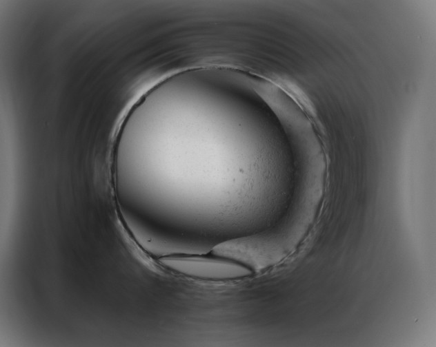 X0000087000816200704161522