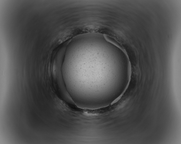 X0000087000818200704161522