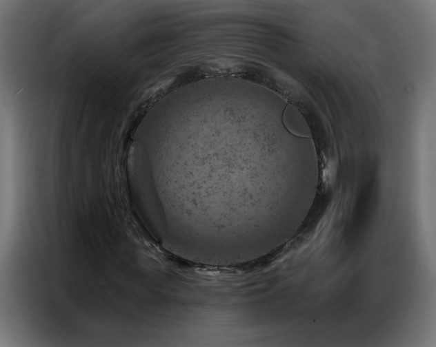 X0000087000819200704161522