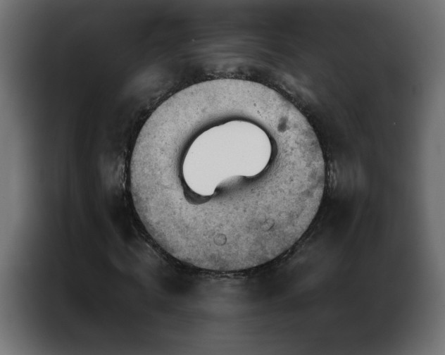 X0000087000820200704161522