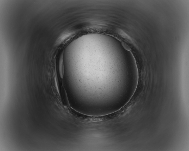 X0000087000822200704161522