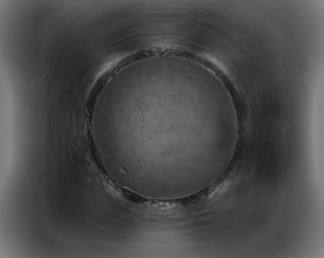 X0000087000823200704161522