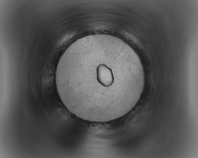 X0000087000824200704161522
