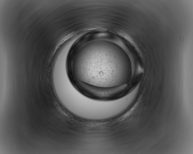 X0000087000826200704161522