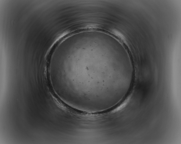 X0000087000827200704161522