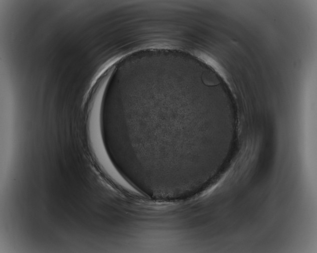 X0000087000829200704161522