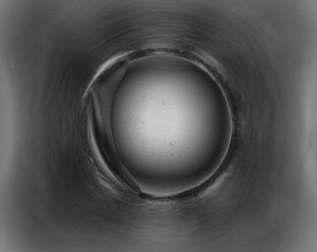X0000087000830200704161522