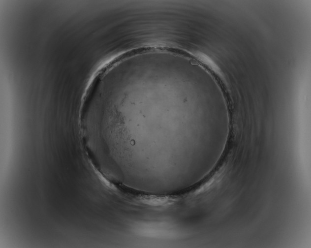 X0000087000831200704161522