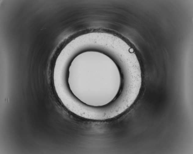 X0000087000832200704161522
