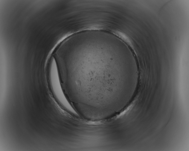 X0000087000835200704161522